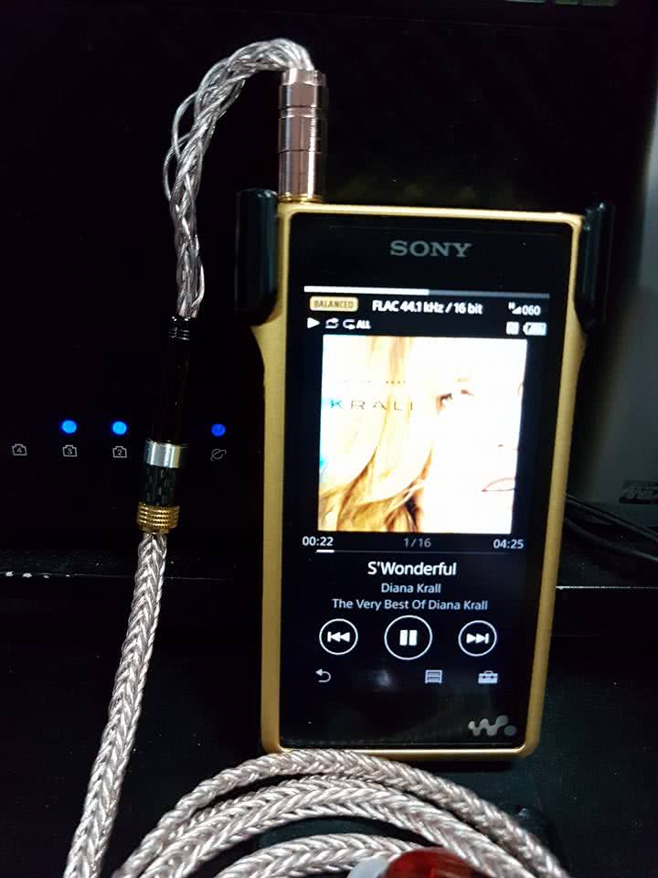 Rudi Rocks - Sony NW-WM1Z with latest Brimar cables and Eternal